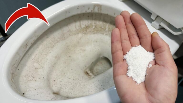 10 sposobów na czyszczenie toalety bez chemii, które Cię zaskoczą!